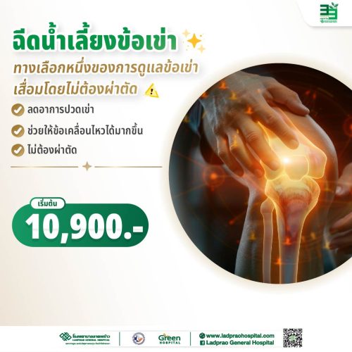 (New) ปกฉีดน้ำเลี้ยงข้อเข่า-2-01
