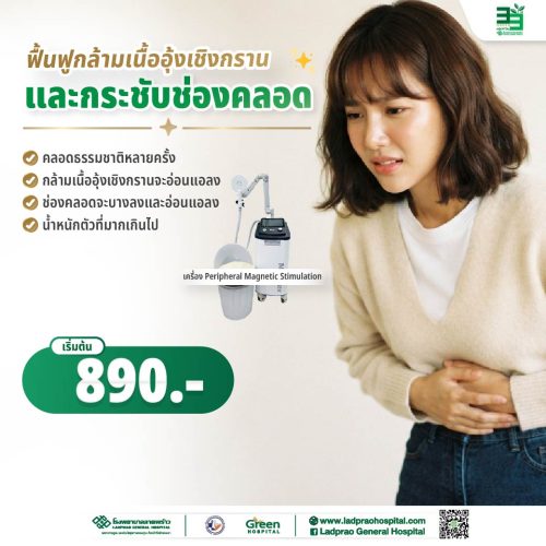 (New) ปกฟื้นฟูกล้ามเนื้ออุ้งเชิงกรานและกระชับช่องคลอด