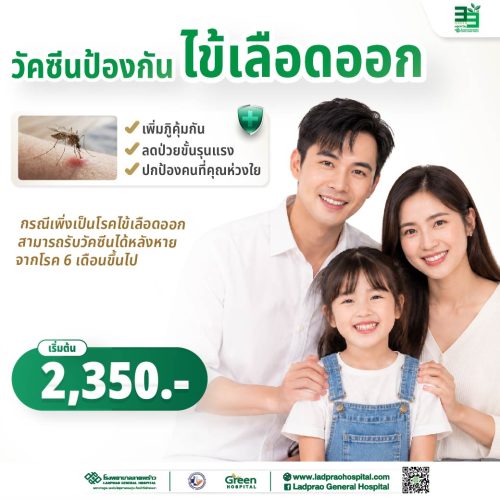 (New) ปกวัคซีนป้องกันไข้เลือดออก-01