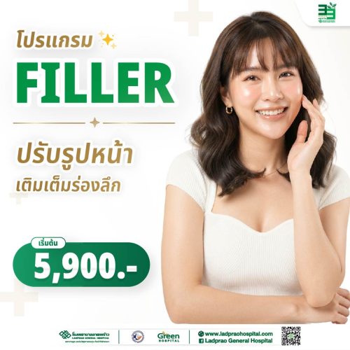 (New) ปกโปรแกรม Filler-01