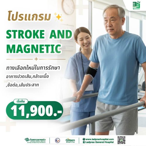 (new) ปกโปรแกรม STROKE AND MAGNETIC-01