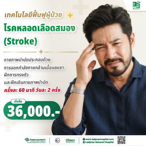 (new) ปกโปรแกรมผู้ป่วย IPD-OPD โรคหลอดเลือดสมอง (Strok)-01