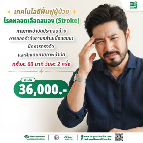 (new) ปกโปรแกรมผู้ป่วย IPD-OPD โรคหลอดเลือดสมอง (Strok)