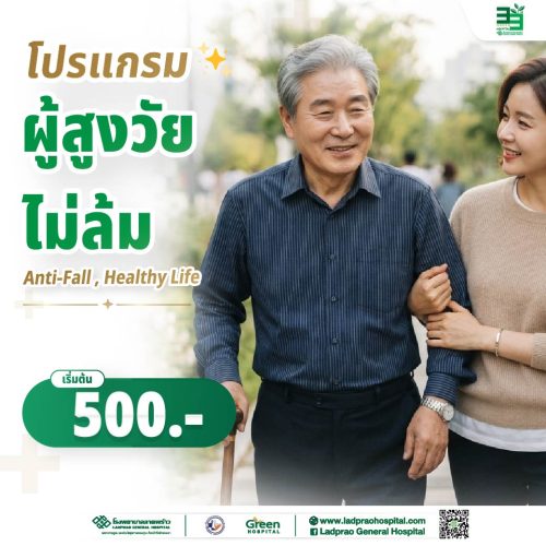 (new) ปกโปรแกรมผู้สูงวัยไม้ล้ม-01-01