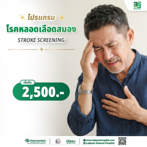 (new) ปกโปรแกรมโรคหลอดเลือดสมอง (Strok Screening)-01
